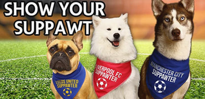 Brighton and Hove Football Suppawter Dog Bandana