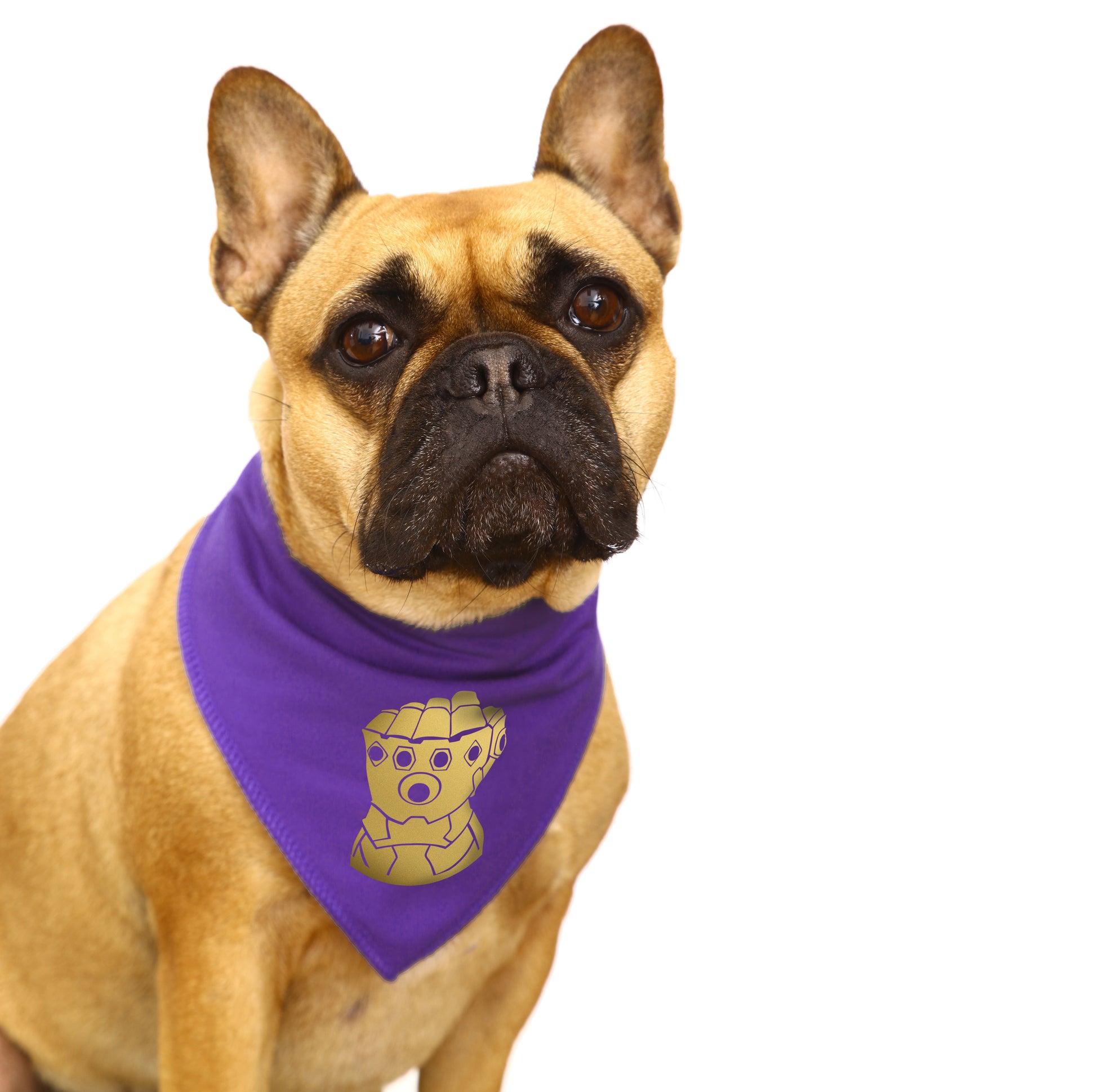 Avengers Thanos Thanos Dog Collar Thanos Dog New Arrivals