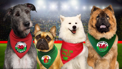 YMLAEN Cymru Football Dog Bandana