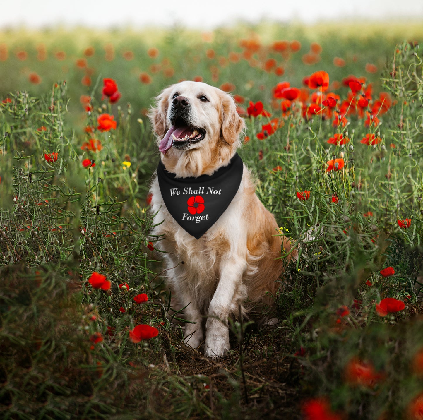 We Shall Not Forget Poppy Dog Bandana