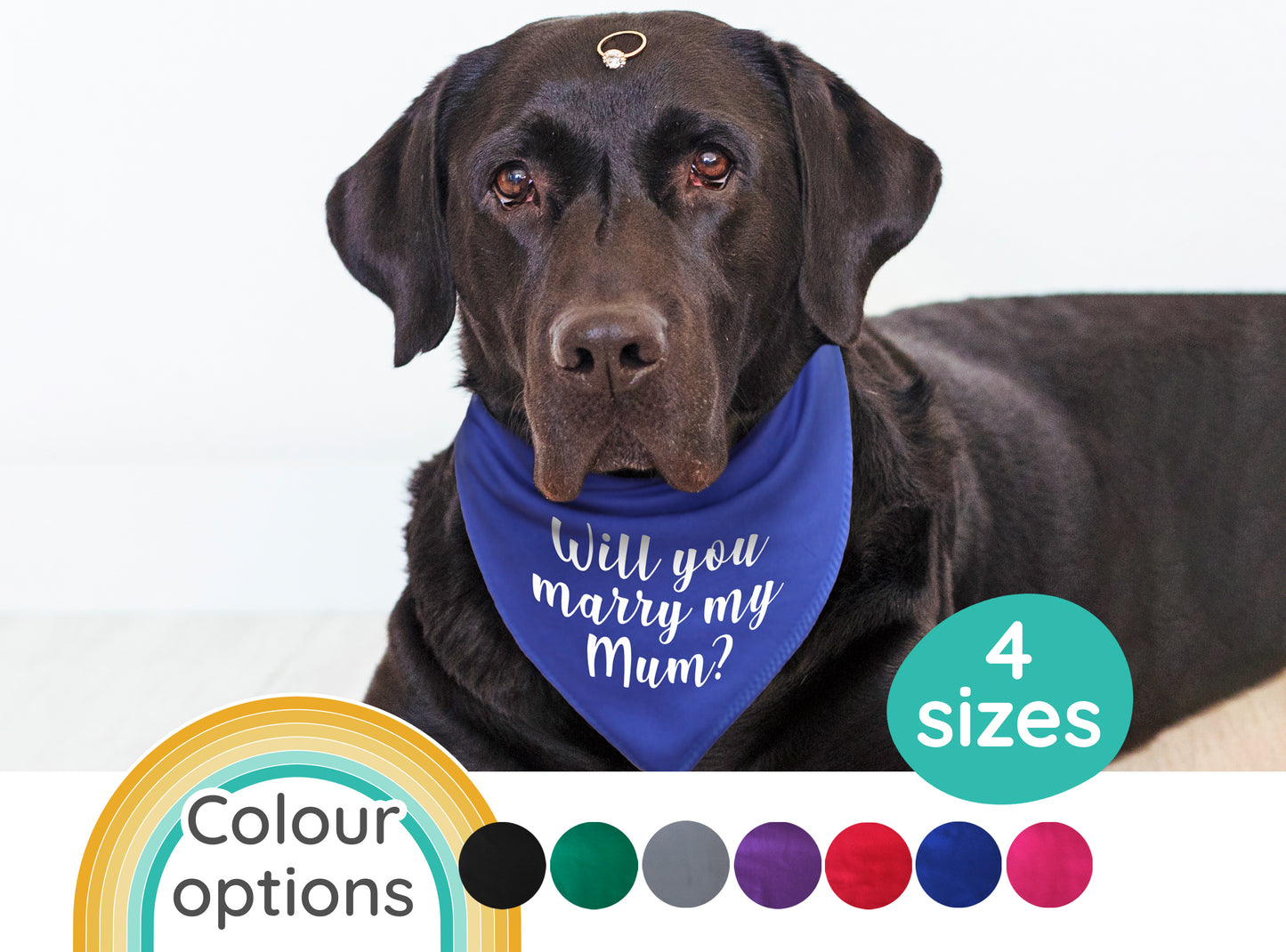 Will You Marry My Mum? Dog Bandana