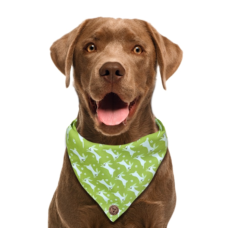 The Warrington - Green Bunnies Tied Dog Bandana