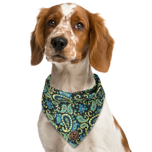 The Winchester - Paisley Blue Cord Tied Dog Bandana