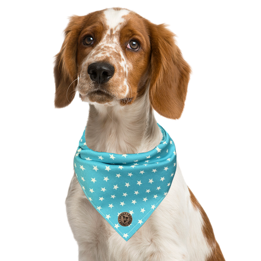 The St Ives - Tiny Star Turquoise Tied Dog Bandana