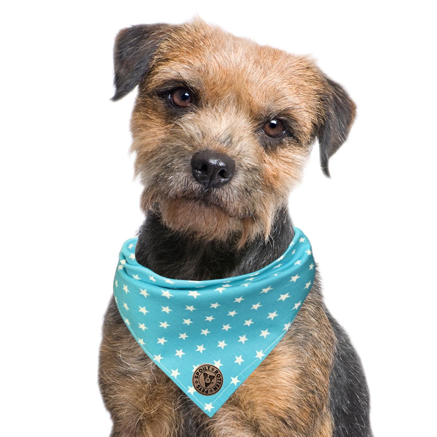 The St Ives - Tiny Star Turquoise Tied Dog Bandana