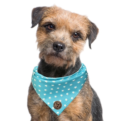 The St Ives - Tiny Star Turquoise Tied Dog Bandana