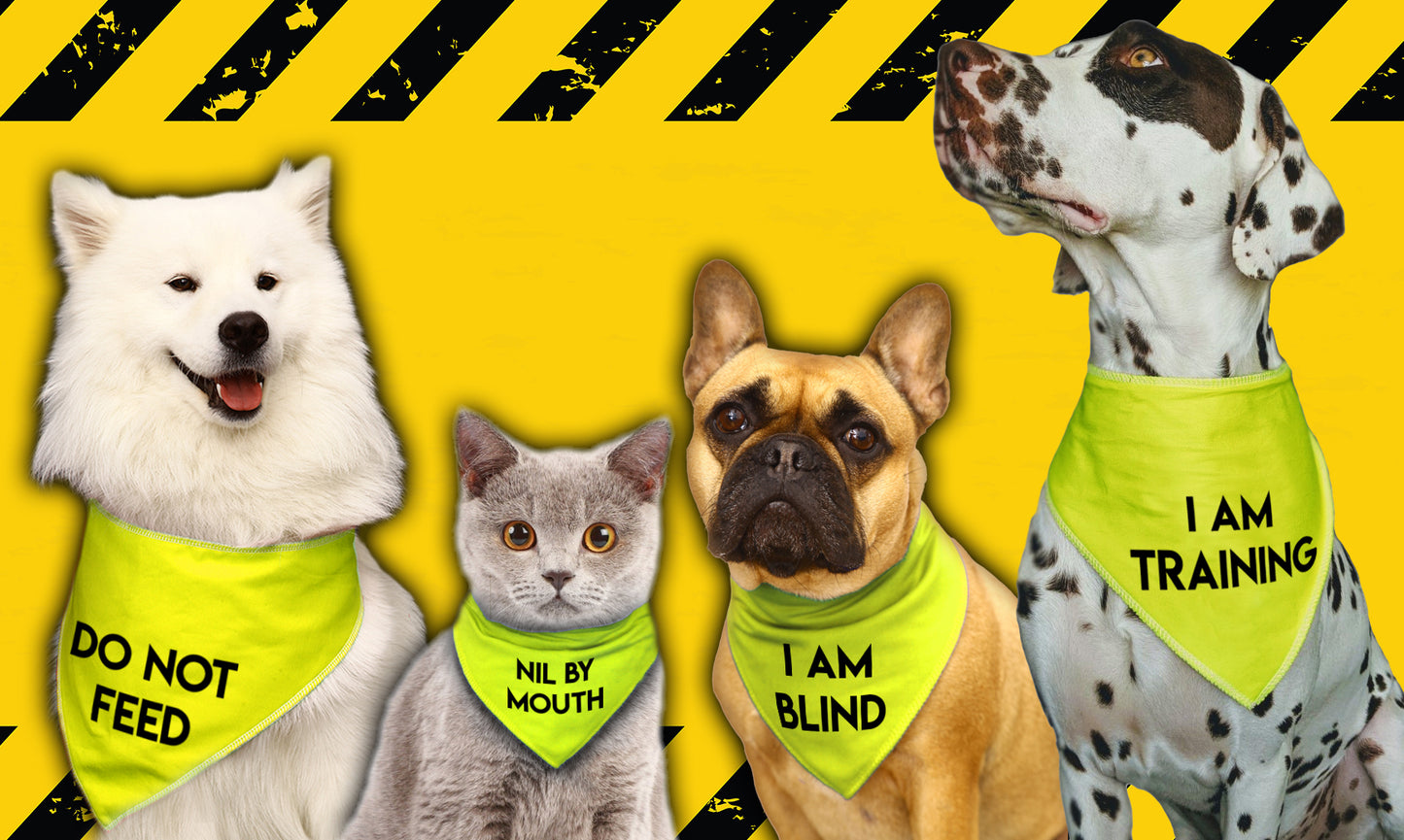 ANXIETY BUDDY Hi Vis Dog Bandana