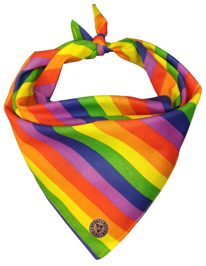 The Brighton - Pride Rainbow Stripe Tied Dog Bandana