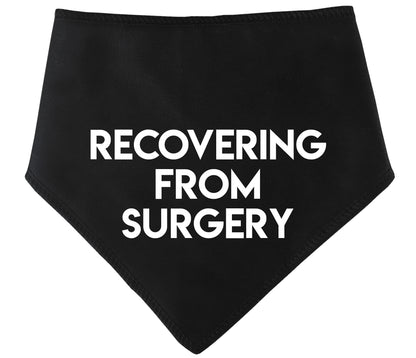 Recovering From Surgery Dog Bandana