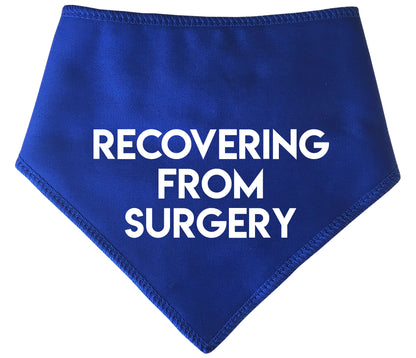 Recovering From Surgery Dog Bandana