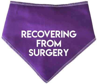 Recovering From Surgery Dog Bandana