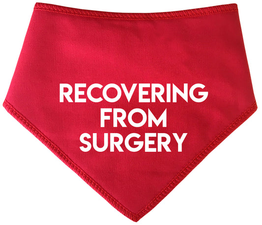 Recovering From Surgery Dog Bandana