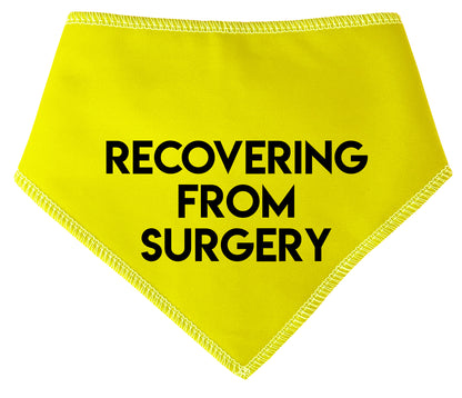 Recovering From Surgery Dog Bandana