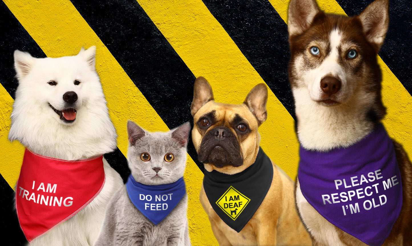 NIL BY MOUTH Alert Sign Black Bandana