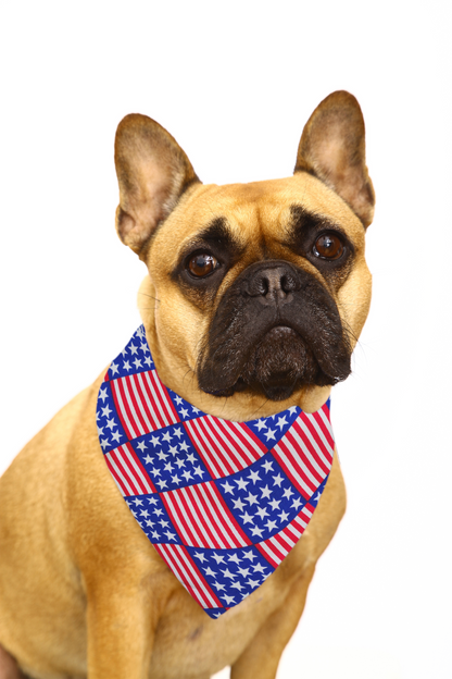 American Flag Any Name Dog Bandana