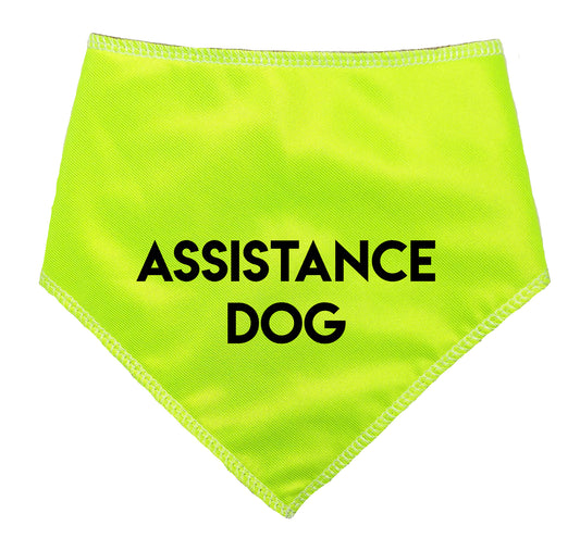 ASSISTANCE DOG Hi Vis Dog Bandana