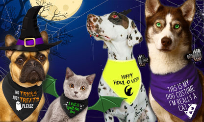 'Boo' Bat Halloween Dog Bandana