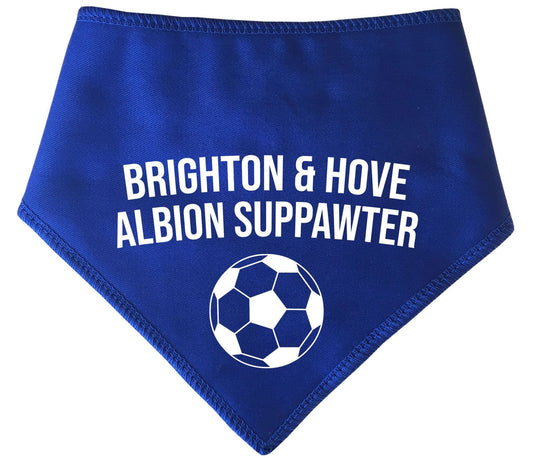 Brighton and Hove Suppawter With Football Dog Bandana