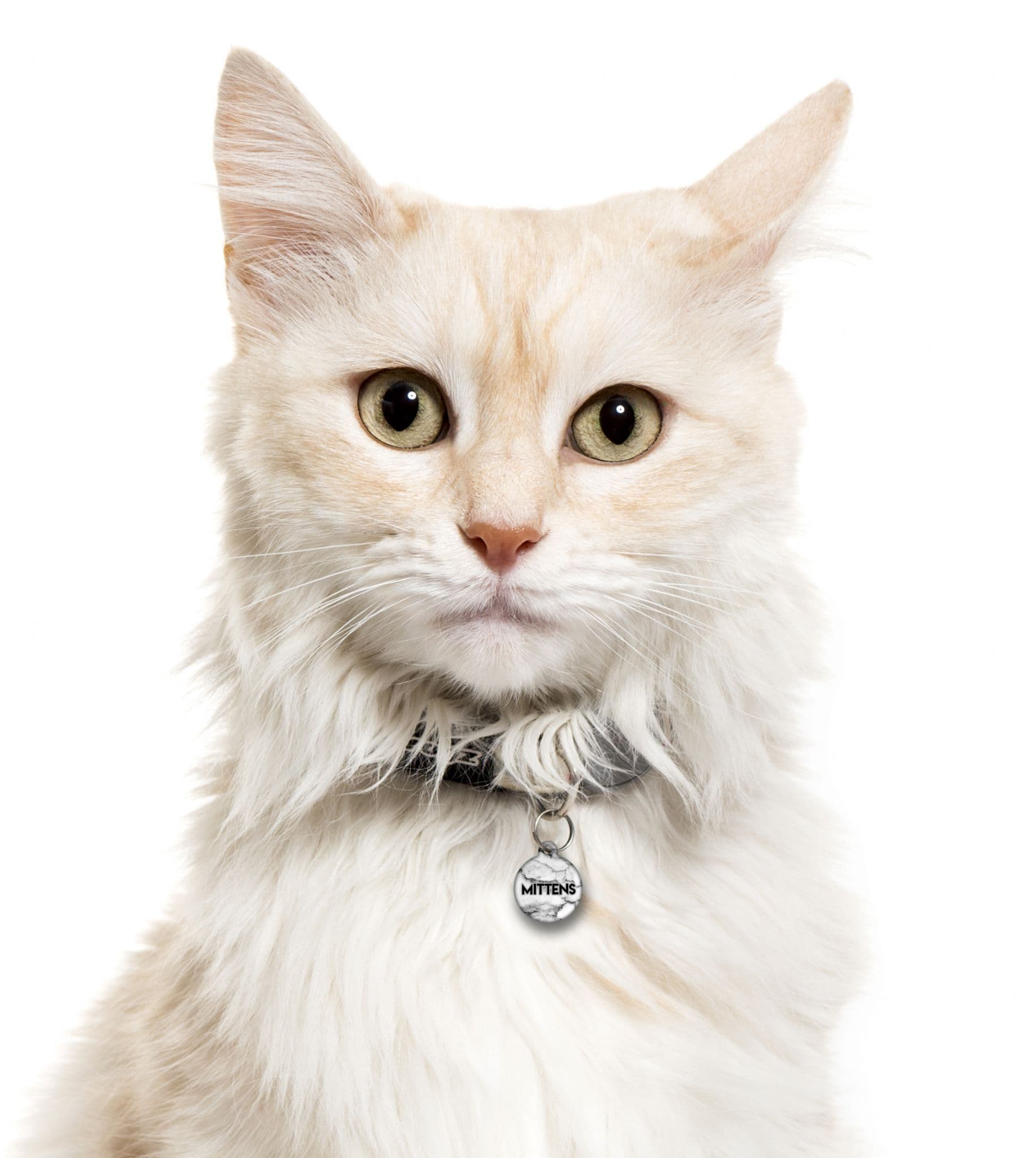 Carrara Marble - Cat ID Tag