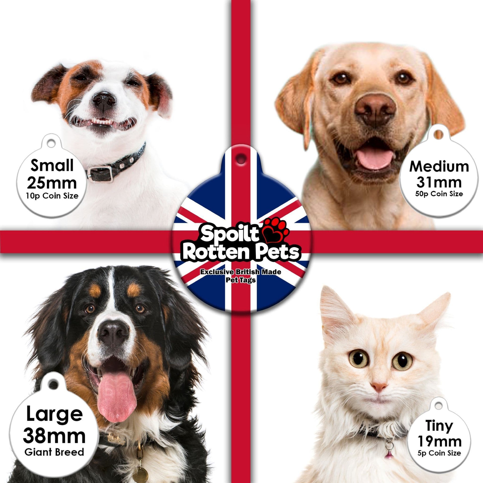 Denmark - Pet (Dog & Cat) ID Tag