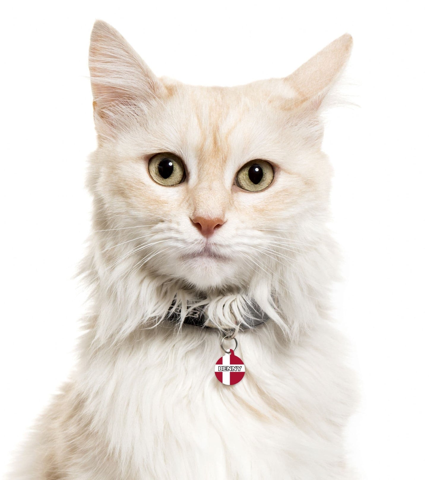 Denmark - Pet (Dog & Cat) ID Tag