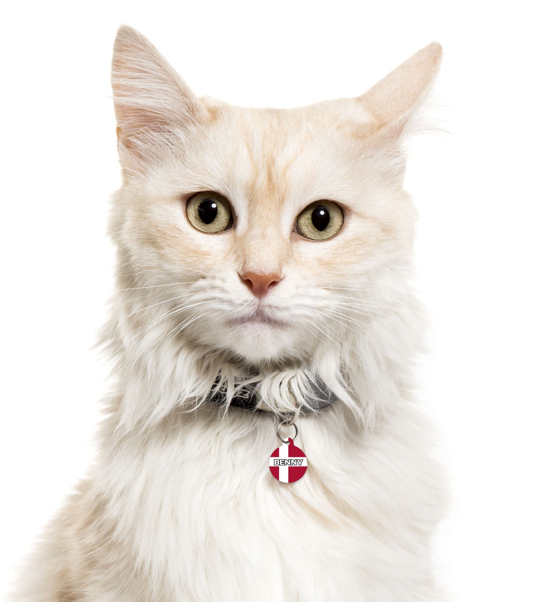 Denmark - Pet (Dog & Cat) ID Tag