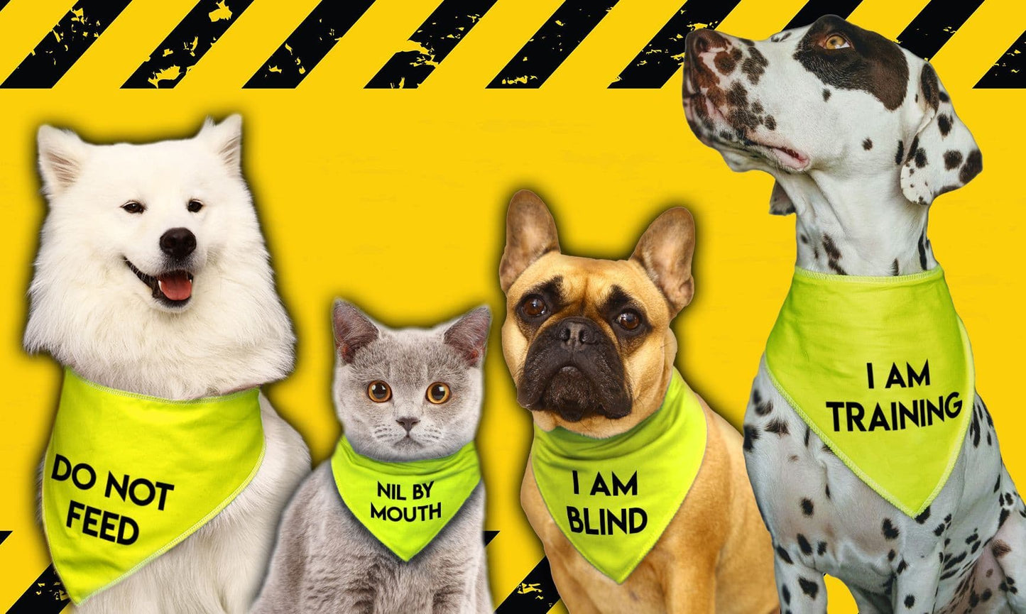 'DO NOT FEED' Alert Hi Viz Dog Bandana