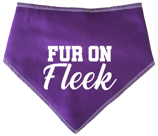 'Fur On Fleek' Dog Bandana