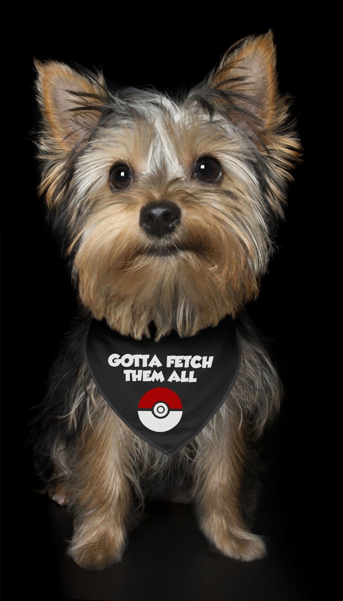 Gotta Fetch Them All' Pokemon Go Dog Bandana