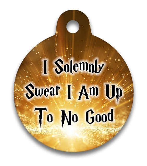 I Solemnly Swear That I Am Up To No Good - Pet (Dog & Cat) ID Tag