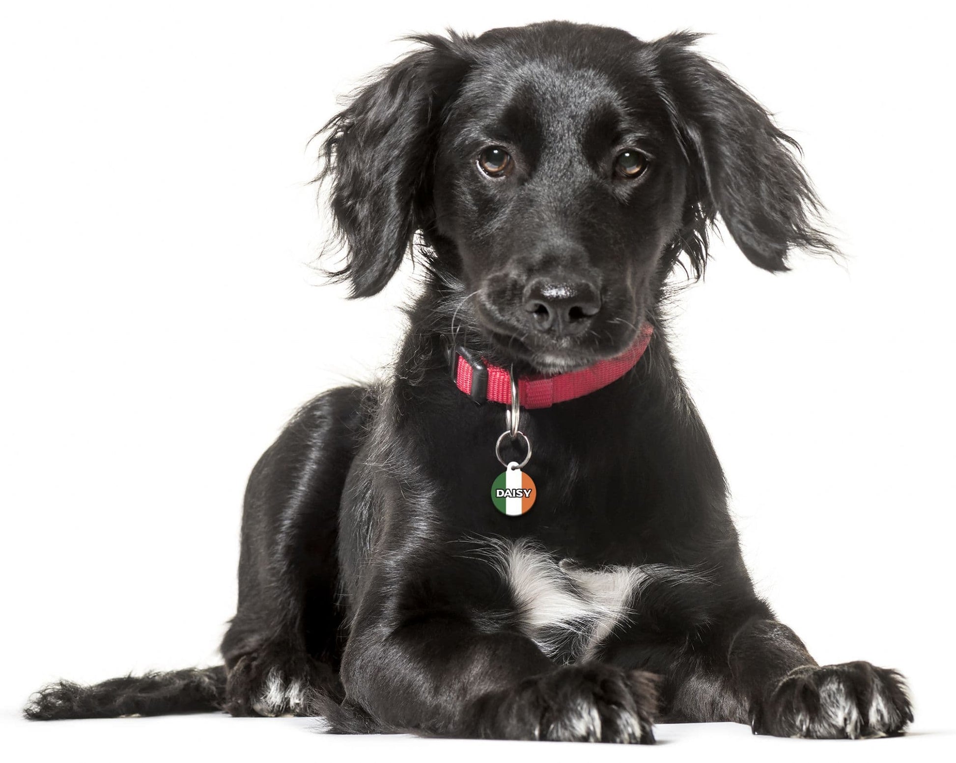 Ireland Eire - Pet (Dog & Cat) ID Tag