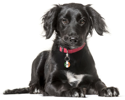 Ireland Eire - Pet (Dog & Cat) ID Tag
