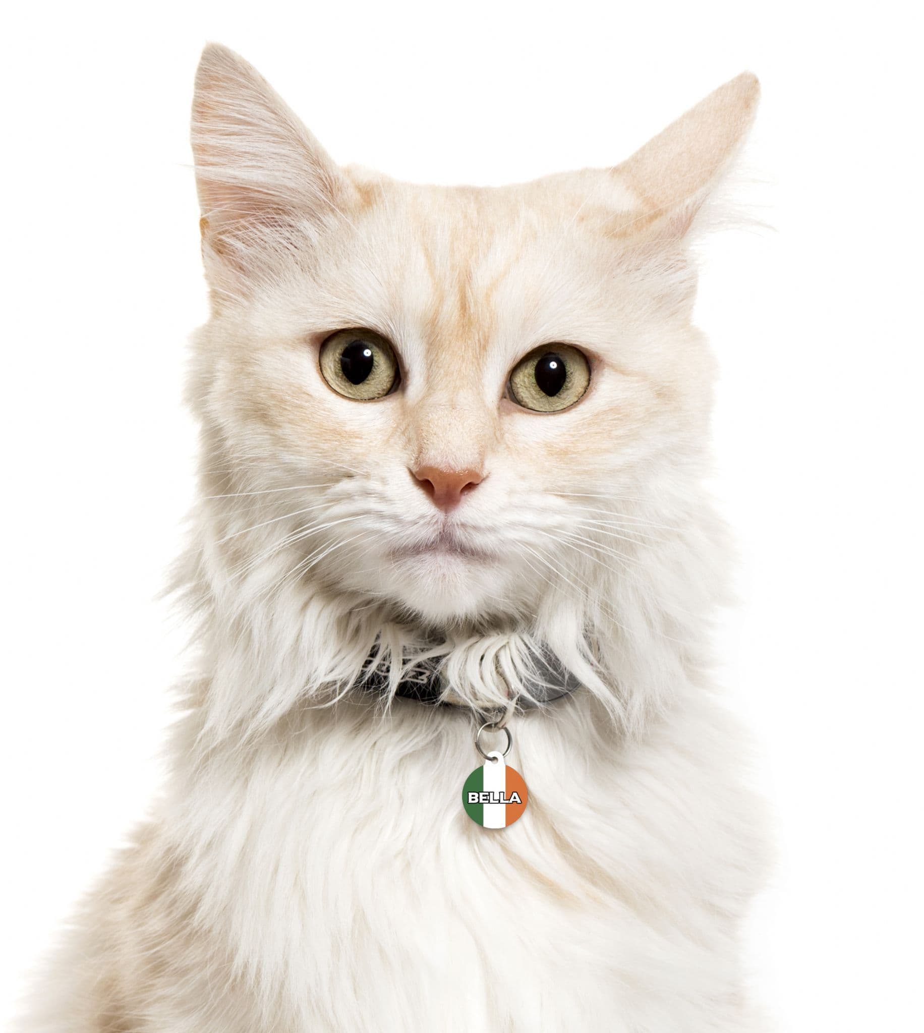 Ireland Eire - Pet (Dog & Cat) ID Tag