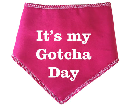 It's My Gotcha Day' Adoption Rehoming  Bandana