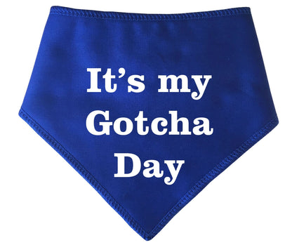 It's My Gotcha Day' Adoption Rehoming  Bandana