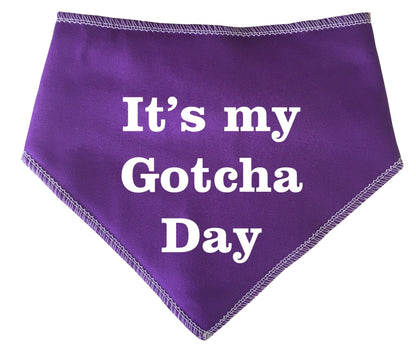 It's My Gotcha Day' Adoption Rehoming  Bandana