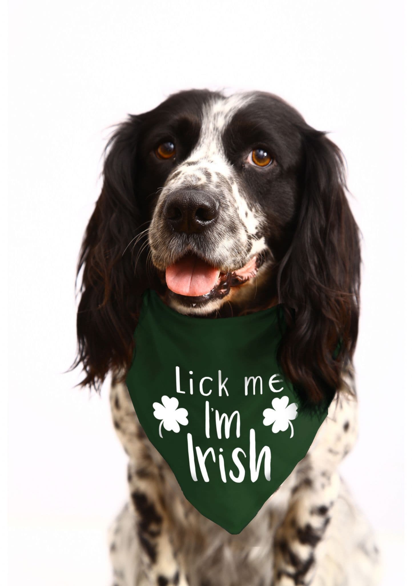 Lick Me I'm Irish' St Patrick's Day Dog Bandana