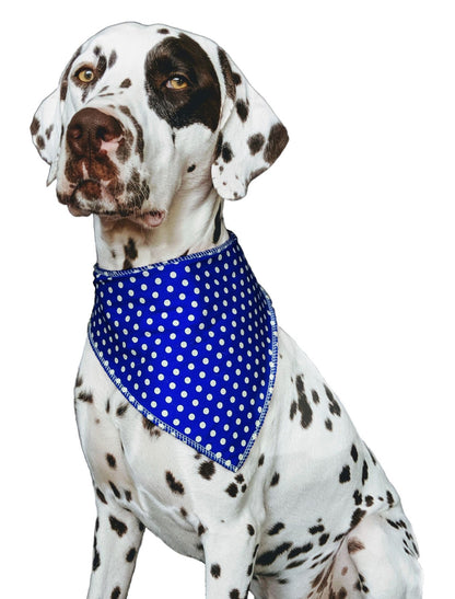 Personalised  Blue Polka Dot Dog Bandana