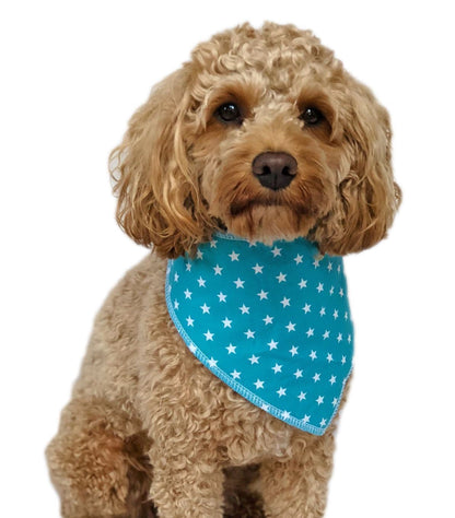 Personalised Turquoise Small Star Dog Bandana