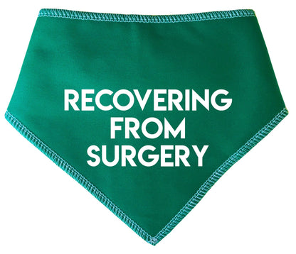 'Recovering From Surgery' Alert Dog Bandana