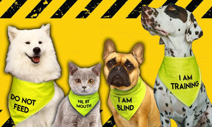 'RECOVERING FROM SURGERY' Alert Hi Viz Dog Bandana