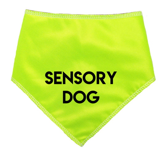 Sensory Dog Hi Viz Dog Bandana