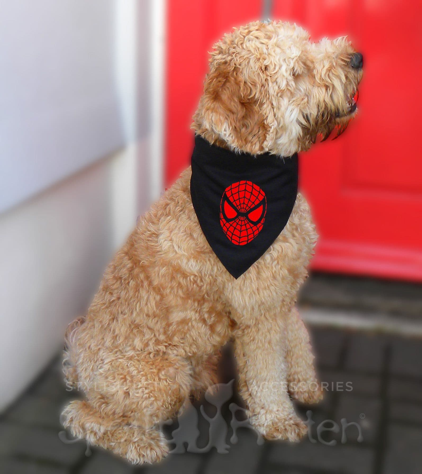Spiderdog Spiderman Marvel Avengers Black Bandana