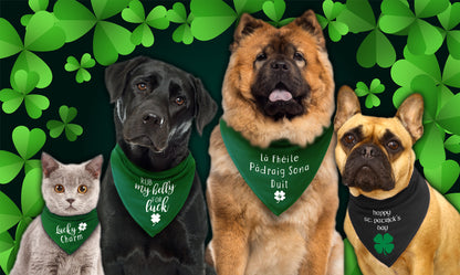 Lick Me I'm Irish St Patrick's Day Dog Bandana