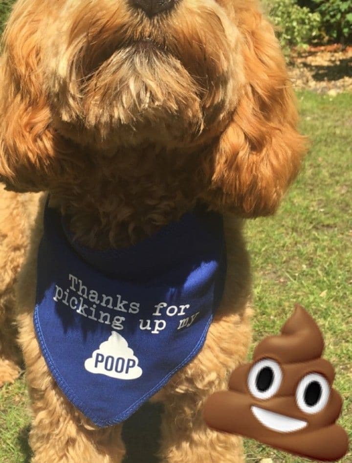 Thanks For Picking Up My Poop' Father's Day Dog Bandana