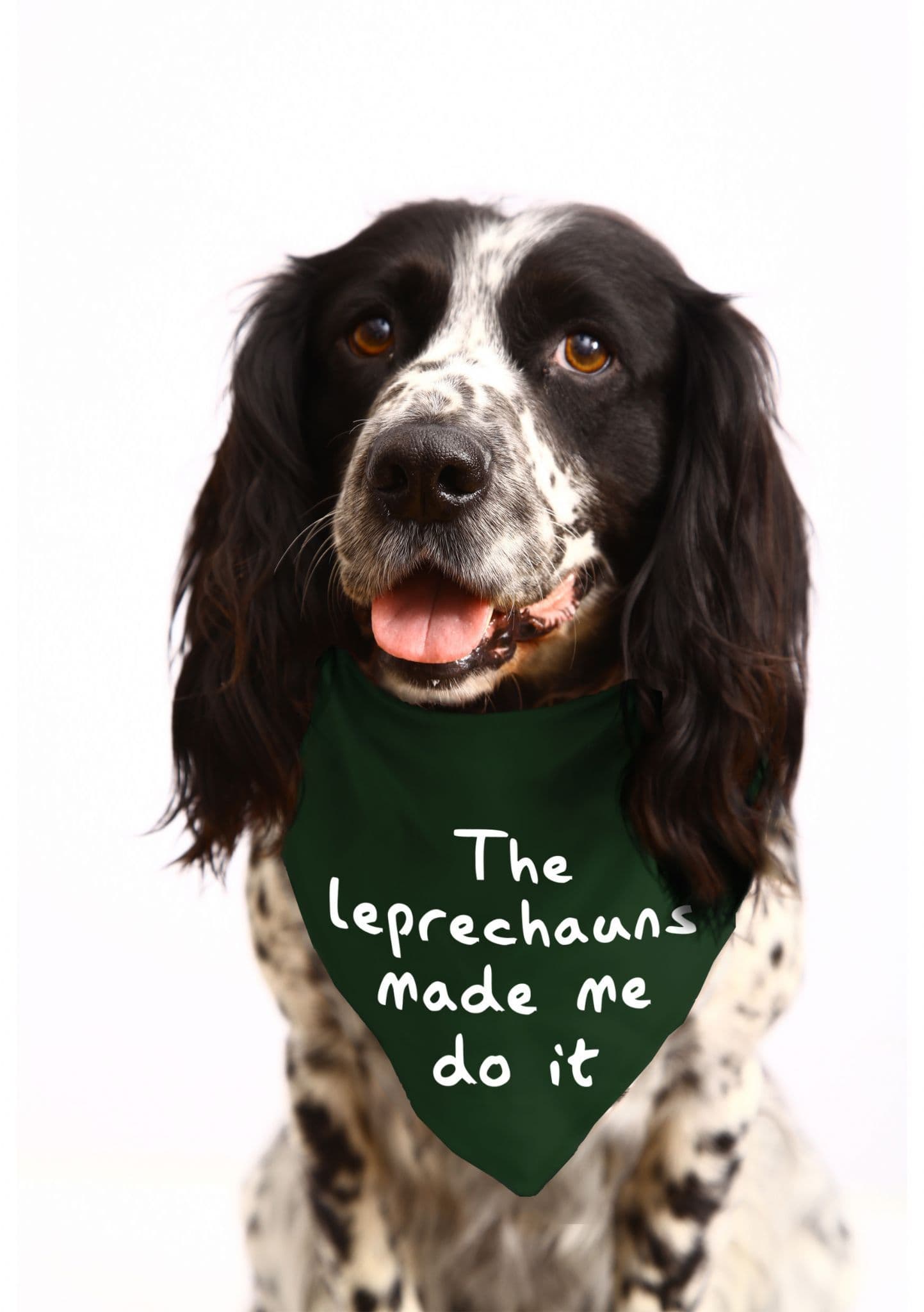 The Leprechauns Made Me Do It' St Patrick's Day Dog Bandana