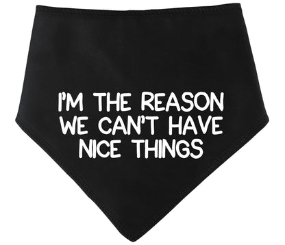 I'm The Reason We Can't Have Nice Things Dog Bandana
