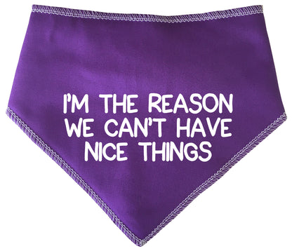 I'm The Reason We Can't Have Nice Things Dog Bandana