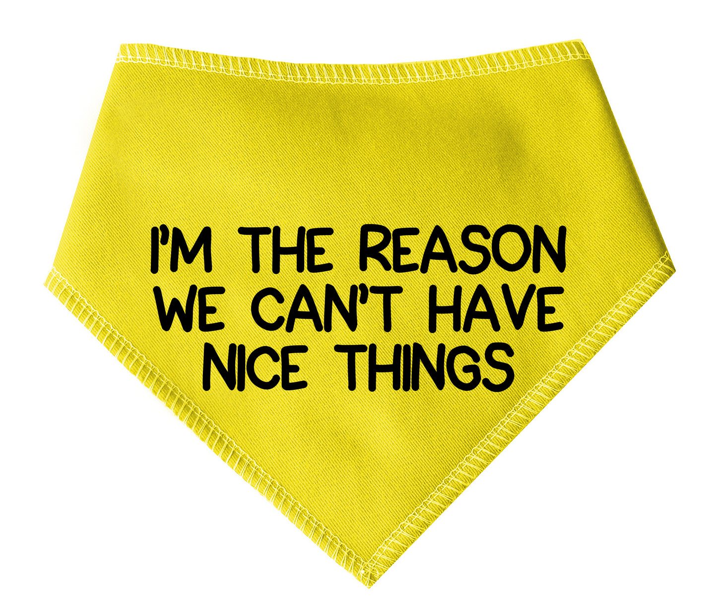 I'm The Reason We Can't Have Nice Things Dog Bandana