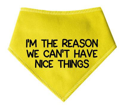 I'm The Reason We Can't Have Nice Things Dog Bandana